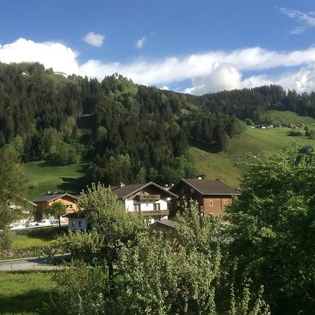 胡勒斯巴赫平Kitzbuheler Alpen Penthouse Hollersbach公寓 外观 照片