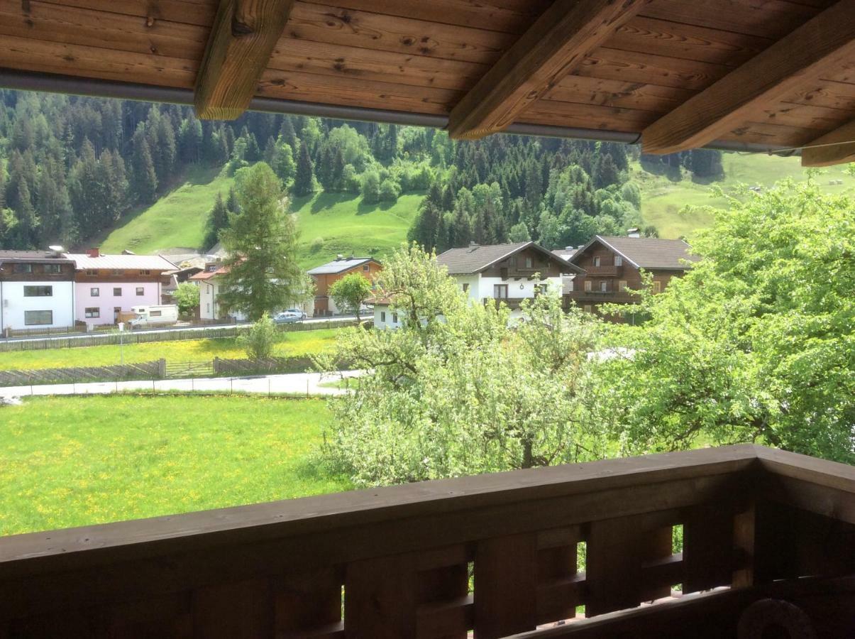 胡勒斯巴赫平Kitzbuheler Alpen Penthouse Hollersbach公寓 外观 照片
