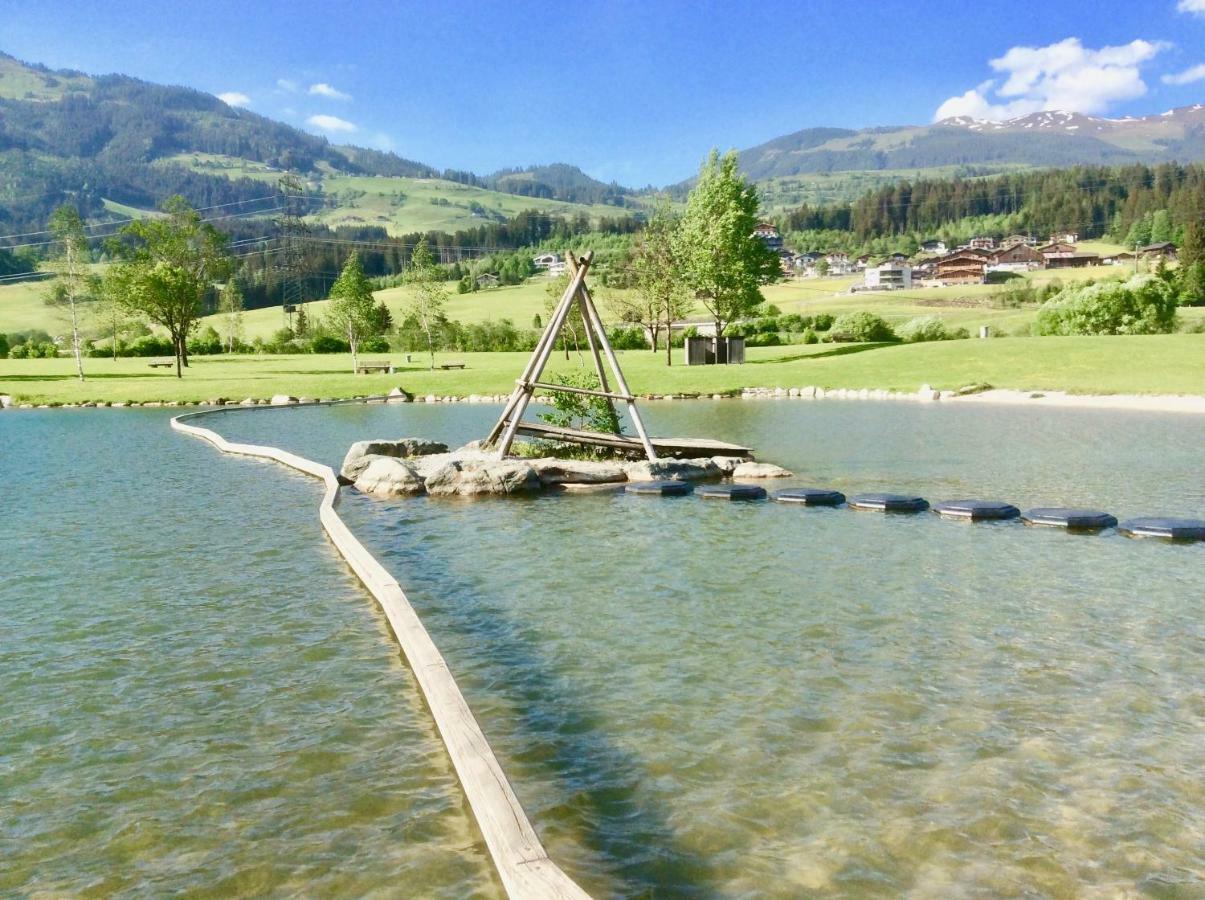 胡勒斯巴赫平Kitzbuheler Alpen Penthouse Hollersbach公寓 外观 照片