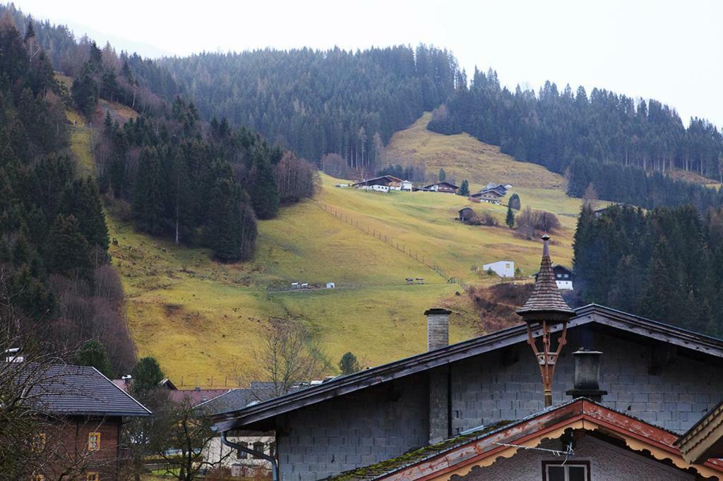 胡勒斯巴赫平Kitzbuheler Alpen Penthouse Hollersbach公寓 外观 照片